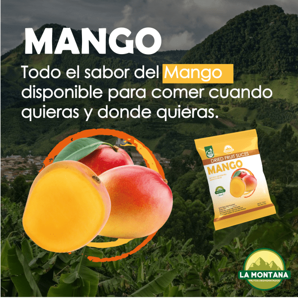 Mango Deshidratado 25gr - Imagen 2