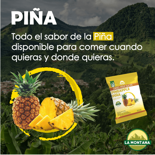 Piña Deshidratada 25gr - Imagen 2