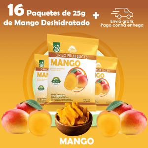 Paquete de 16 und x 25g Mango Deshidratado